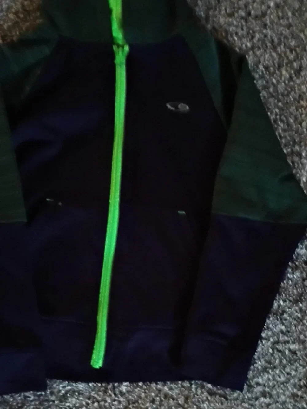 Champion Navy Hoodie with Bright Green Trim